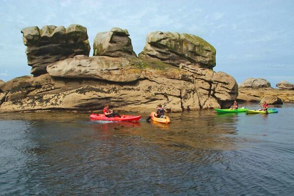 A la rencontre des phoques gris en kayak