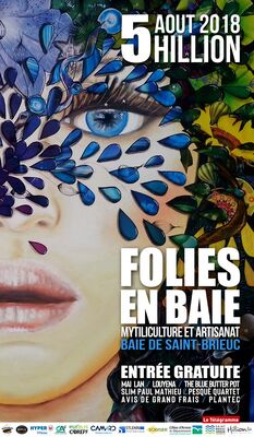 AFFICHE FOLIES EN BAIE 2018 17 5-30