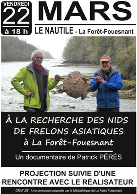 Affiche-frelons-nautile