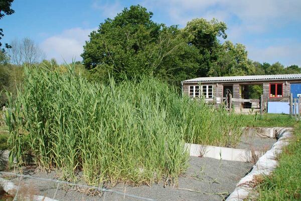 Aire Naturelle de Camping Le Bois du Barde