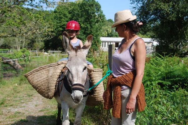 Aire Naturelle de Camping Le Bois du Barde