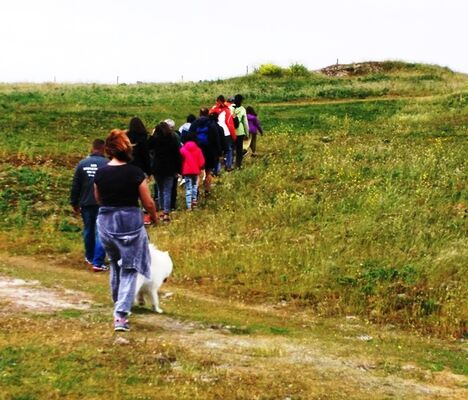 Promenade sur les dunes avec 3P