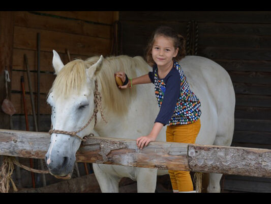 Balade à cheval avec Lung-Ta la Claie des Landes - Sérent - Morbihan