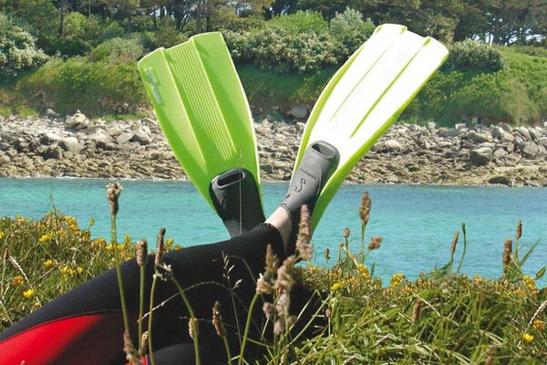 Balade à la palme découverte et sensation