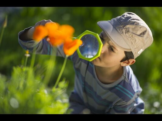 Balade nature