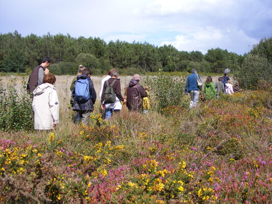 Balade-nature-tourbi--re-Marcheurs