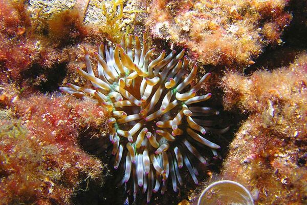 Balade palmée au bout du monde