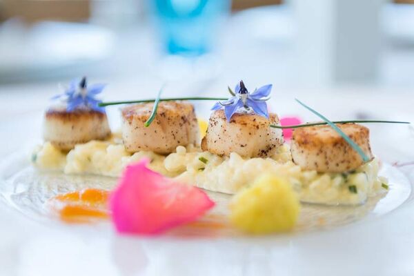 Hôtel - restaurant Breiz Armor