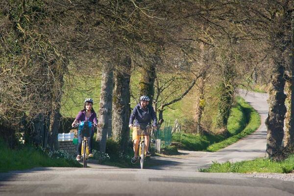 Brocéliande Bike Tour