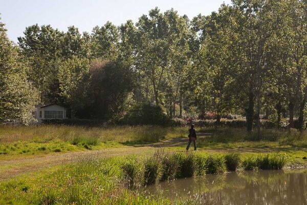 CAMPING MERLIN L'ENCHANTEUR