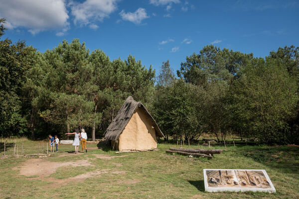 Menhirs de Monteneuf