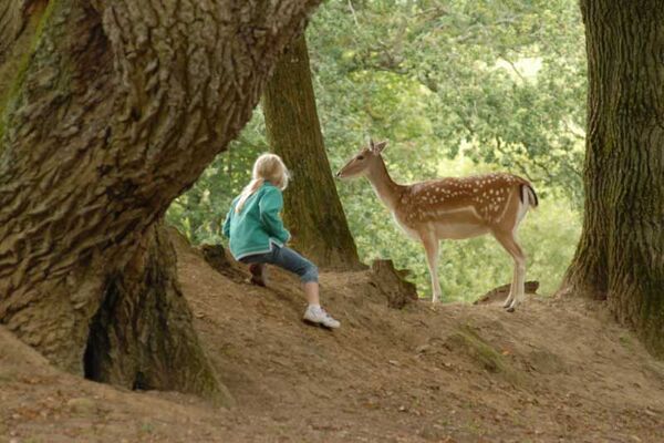 Parc Animalier du Quinquis