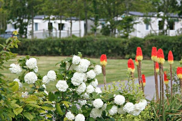 Camping La Ferme de Lann Hoëdic