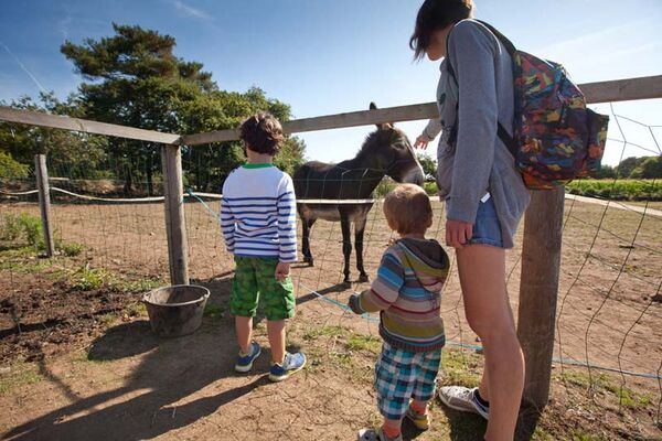 Camping Le Moustoir