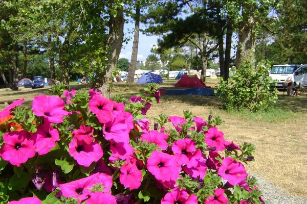 Camping Municipal du Lannic