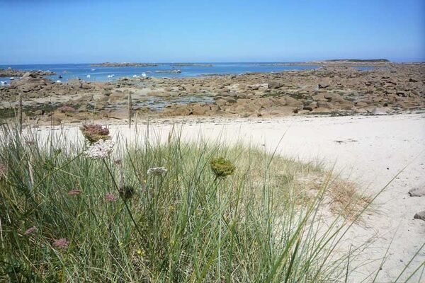 Camping Municipal de Landrellec