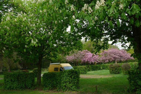 Camping Municipal le Vieux Châtel