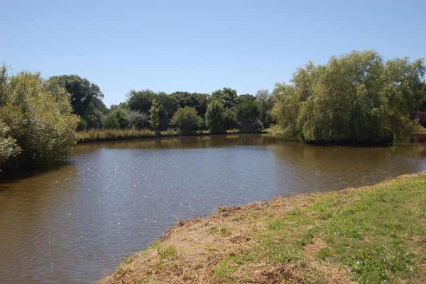 Camping Parc Sainte-Brigitte