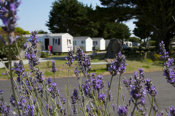 Camping Park Er Lann
