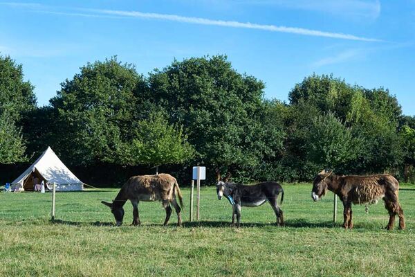 Camping à la Ferme de Croas Men