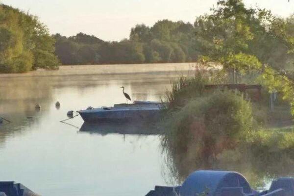 Camping du Chêne