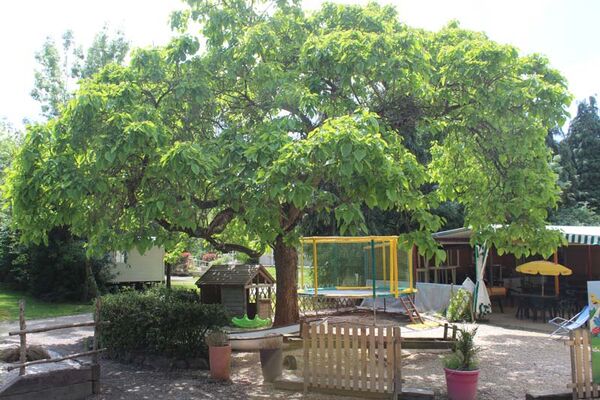 Camping la Boulogne