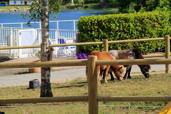 Camping le Lac