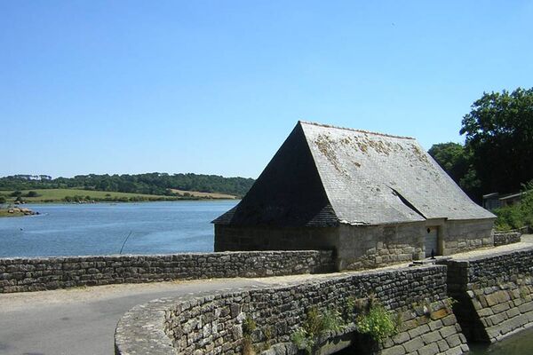 Camping les Genêts