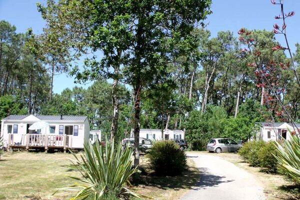 Camping les Pins