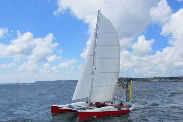 Catavoile 29