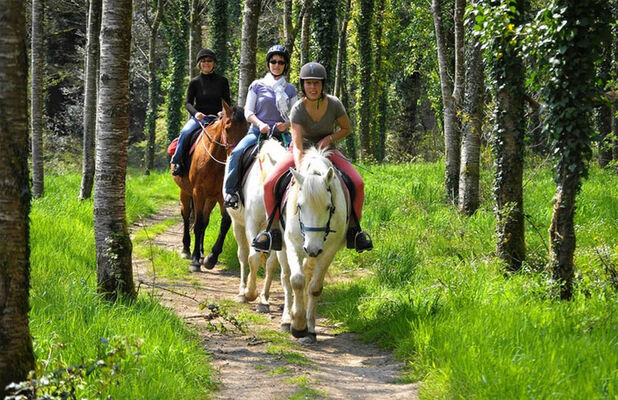 Centre équestre et poney club landujan