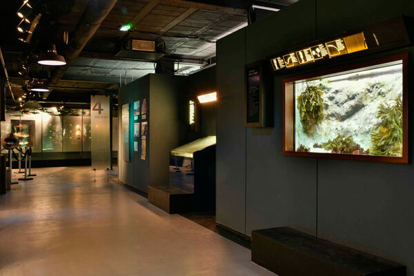 Marinarium de Concarneau