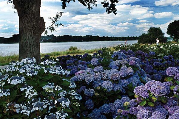 Circuit des Hortensias