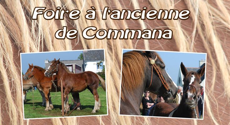 Commana - foire