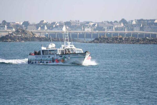 Compagnie Maritime Armein
