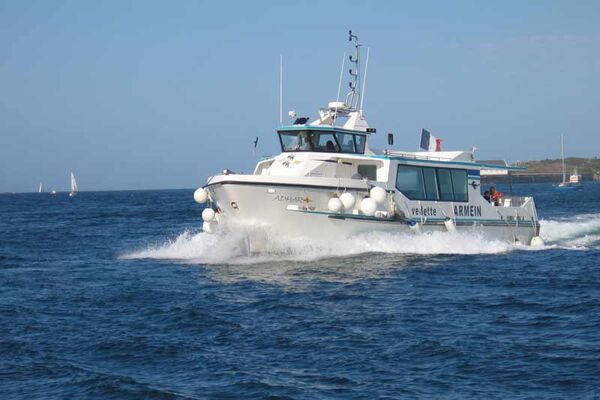 Compagnie Maritime Armein