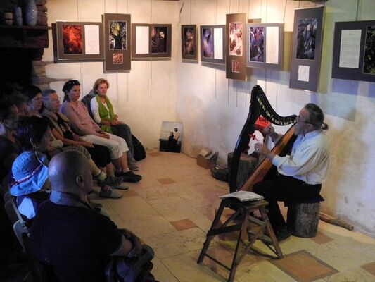 Concert de harpe à la Maison des Sources