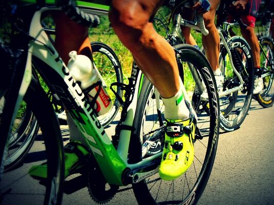 Courses cyclistes