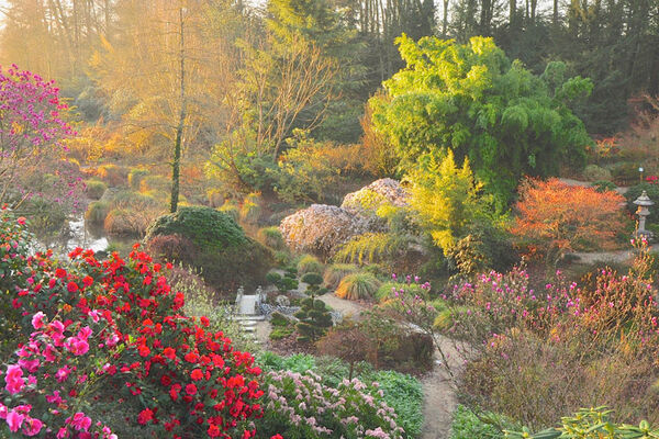 Parc Botanique de Haute Bretagne