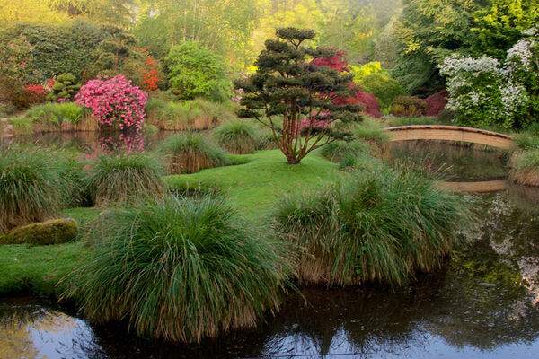 Parc Botanique de Haute Bretagne