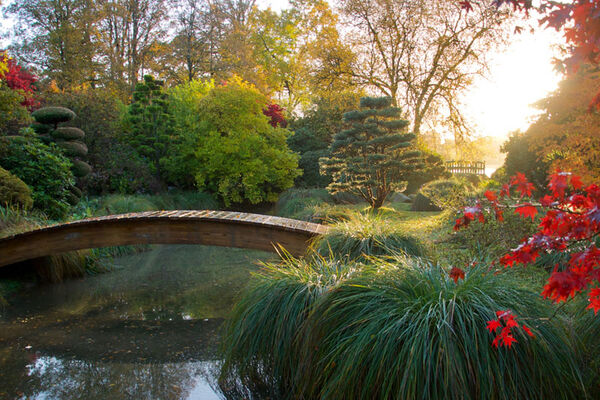 Parc Botanique de Haute Bretagne