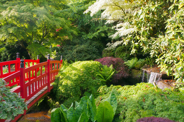Parc Botanique de Haute Bretagne
