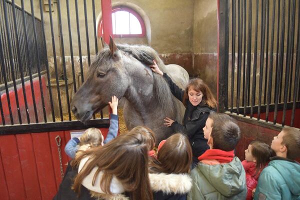 Haras National de Lamballe