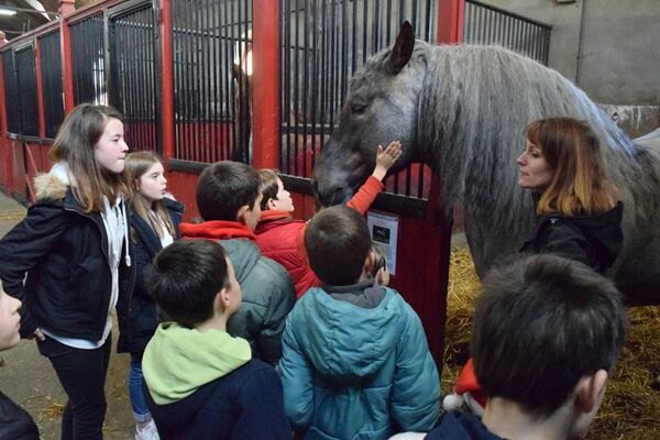 Haras National de Lamballe