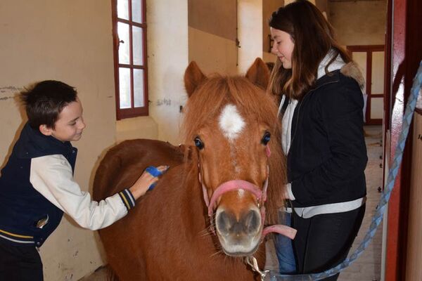 Haras National de Lamballe
