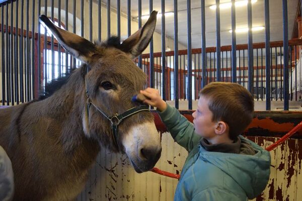 Haras National de Lamballe