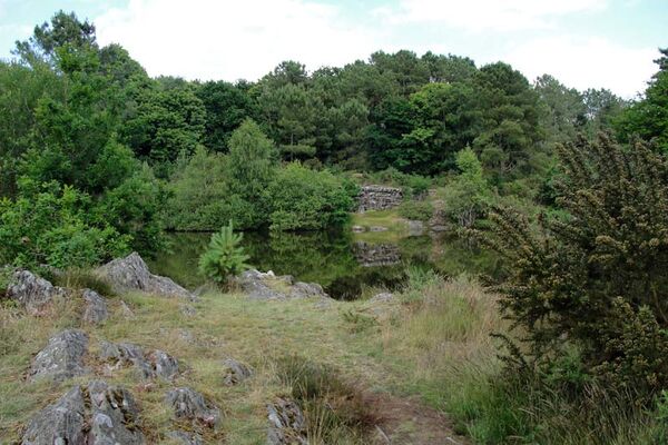 Réserve naturelle régionale des Landes