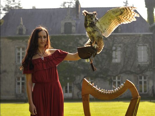 Arth Maël - Harpe celtique - Dana - Morbihan - Bretagne
