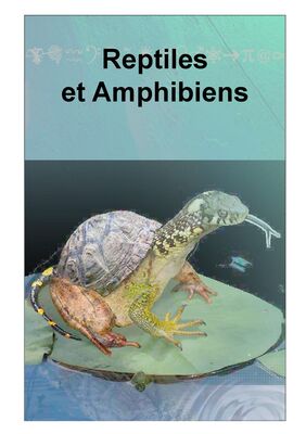 Exposition-Reptiles-et-Amphibiens-2019---Maison-de-la-Baie