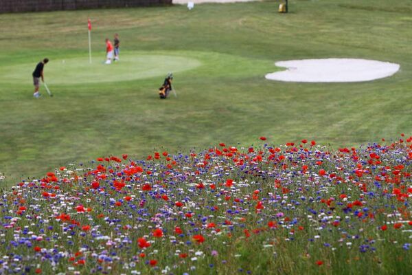 Carhaix Golf